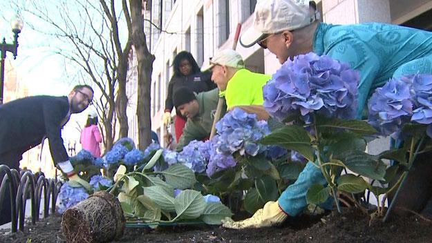 wbz's tweet image. Signs of healing across city on #OneBostonDay (via @JimArmstrongWBZ) cbsloc.al/1CLFDaH