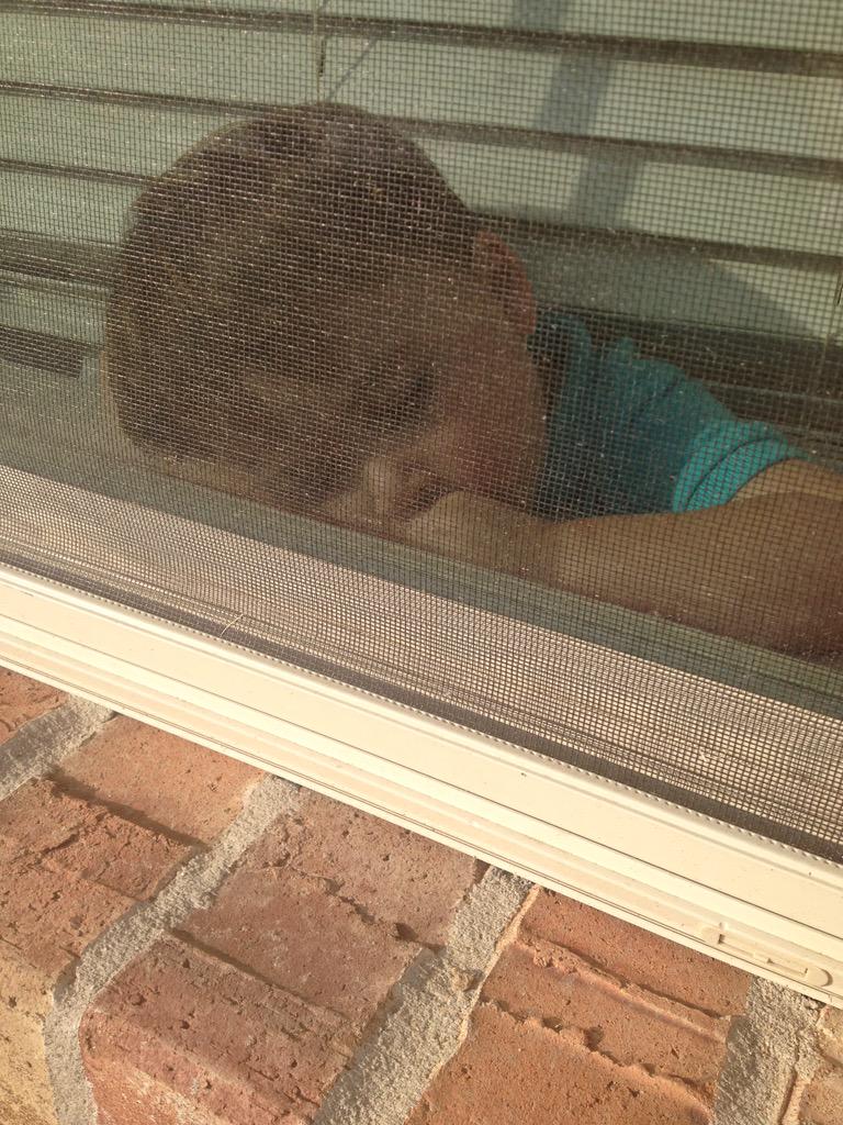 lauraleebaird's tweet photo. #classichugh naps when he pleases. http://t.co/qA88Zs6l7O