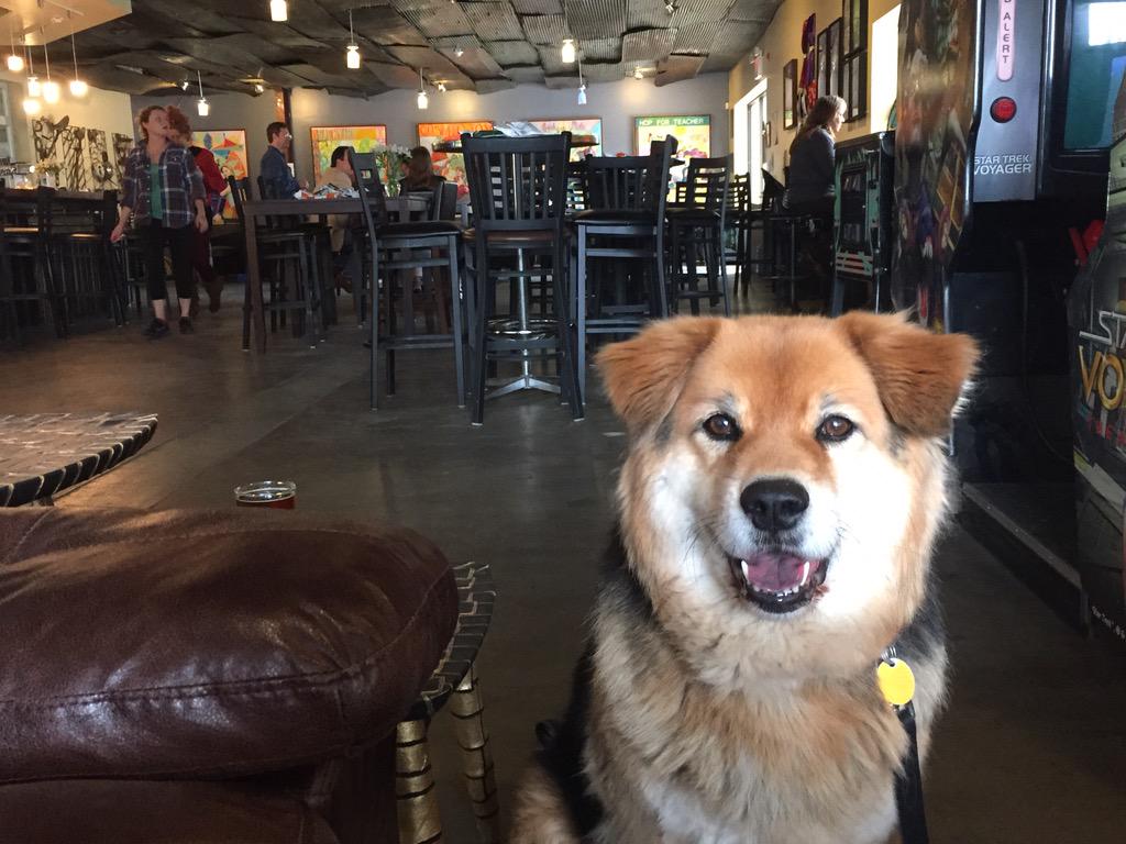 AmyBHaneline's tweet photo. Last stop is @FountainSqrBrew! Staff was even nice enough to watch her while I went to the bathroom. #SnicksPicks http://t.co/FVVJvXWKWY