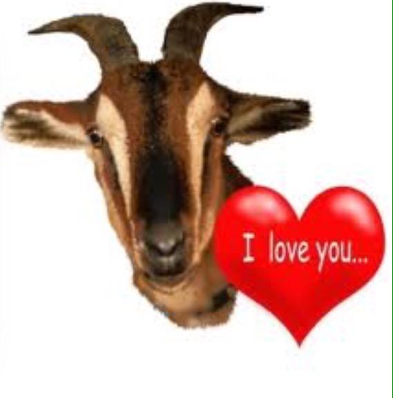 Goat_Fart's tweet photo. @Jordan_Garzaa TO BE HONEST WE MISS YOU TOO http://t.co/QHCoboapuC
