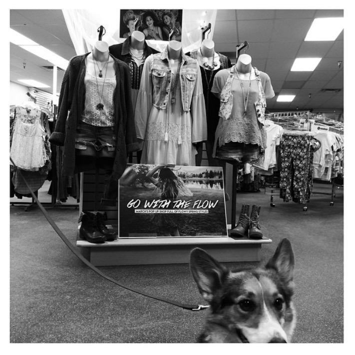 #throwback to when Nicole found a corgi and he helped us set up the flowy pop up shop ☺️💗