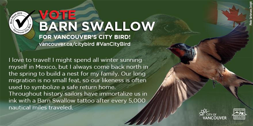 Barn Swallow On Twitter Fact My Image Symbolizes Safe Return