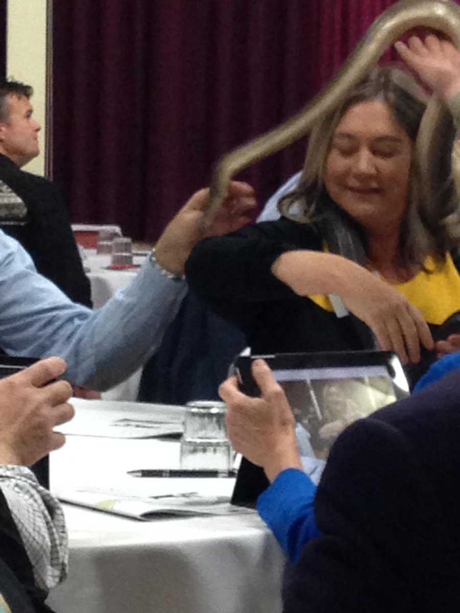 KathyPryor3's tweet photo. Yeah, just a normal morning in rural Victoria #RCVSummit http://t.co/u2IyZ0YL6s