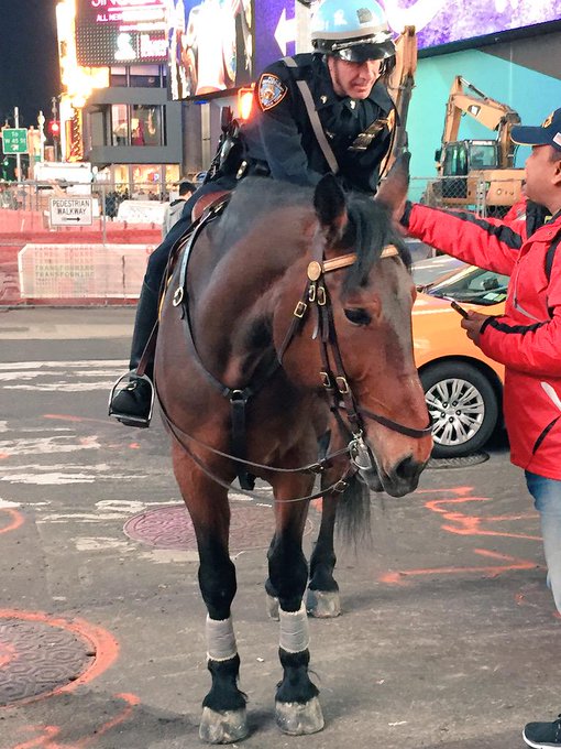 50 #NYPD but the horse is what drew me to take the pic! 💛 #TimesSquare once again! 🐴😘 love a man in uniform<a href="/tag/nypd"class="tags">#NYPD</a><a href="/tag/timessquare"class="tags"><span>#timessquare</span></a><a href="/tag/weakness"class="tags"><span>#weakness</span></a>