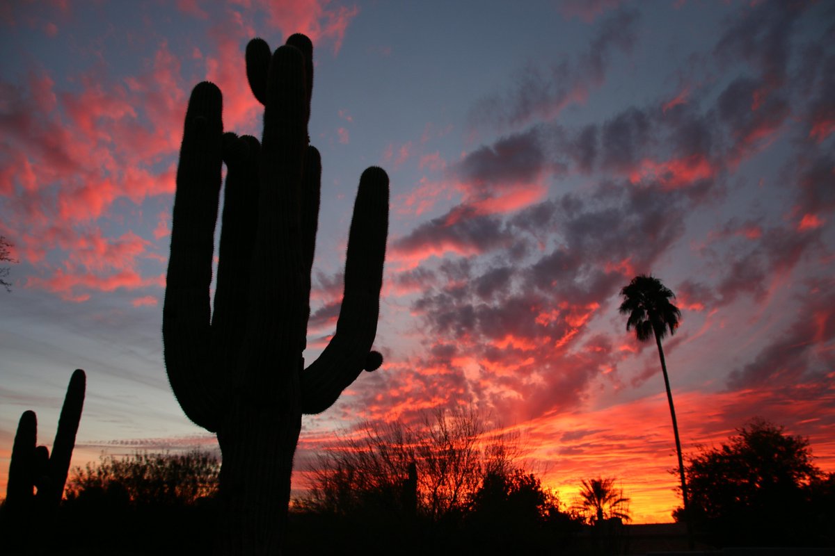 PerceptiveLens's tweet image. An Arizona sunset ...