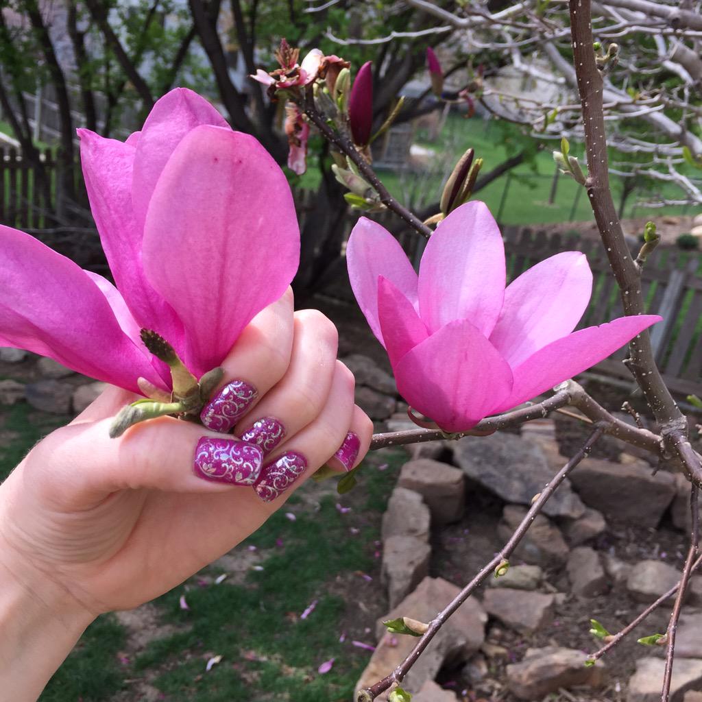 Shesgotredhair's tweet image. #prettymani #prettynails ask me how to get this look