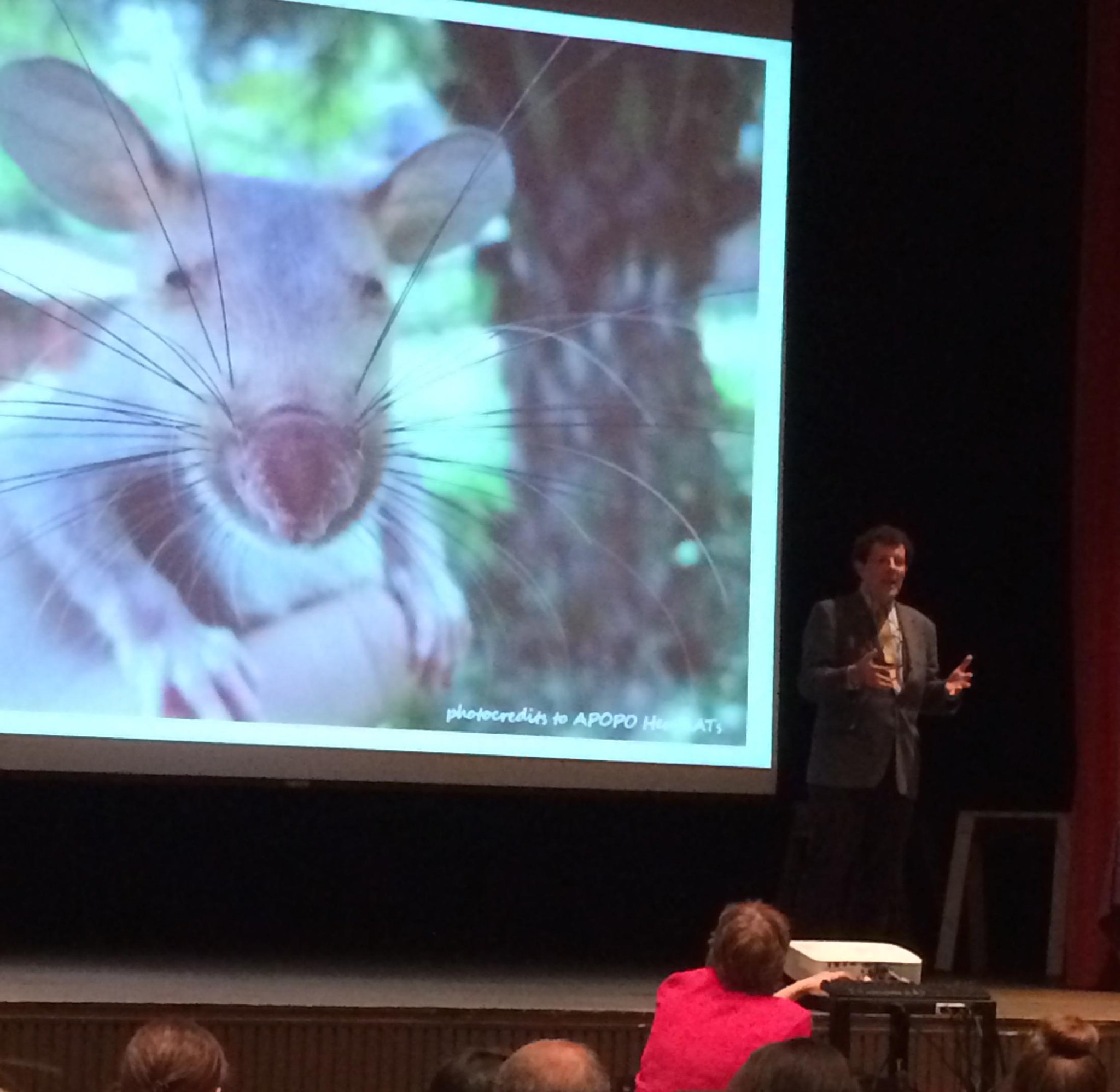 Embedded image permalink