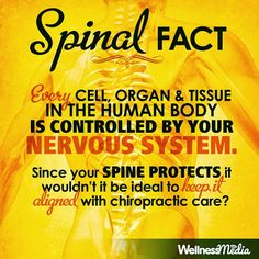 AspireChiro's tweet photo. Your nervous system controls every cell in your body. Let's keep it healthy http://t.co/q2lHeWo74H http://t.co/ThXxFFd2wO