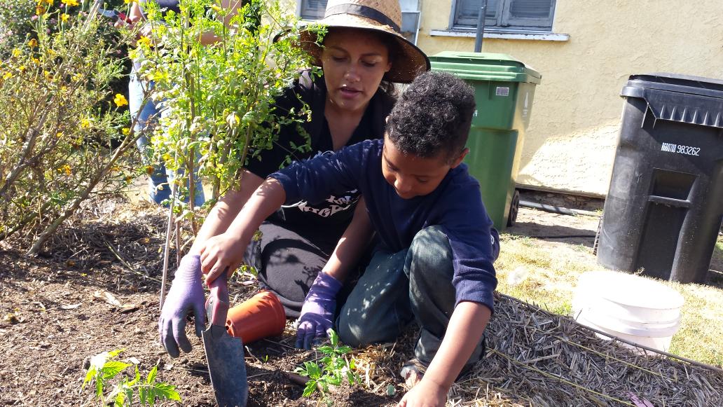 jgutierre098's tweet photo. @rootdownla Teaching kids from the neighborhood  of urbanfarming :3 #foodinthehood #southla #rootdownla #NIFAIMPACTS http://t.co/BdJX06fUsN