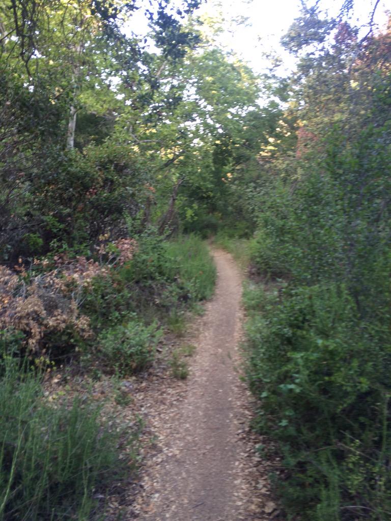 Really creepy ride up slaughter😳