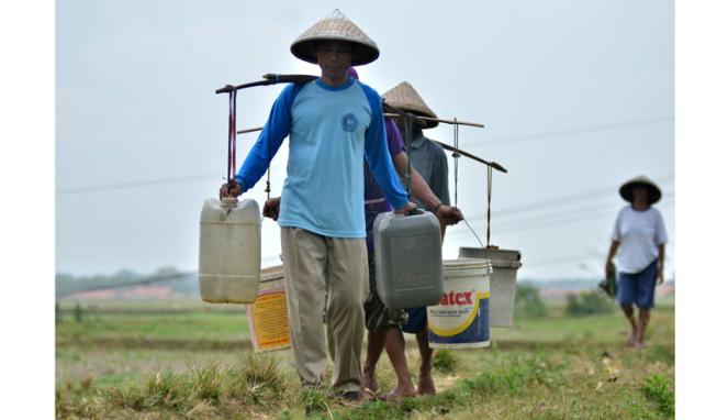 Mongabay Indonesia tweet media