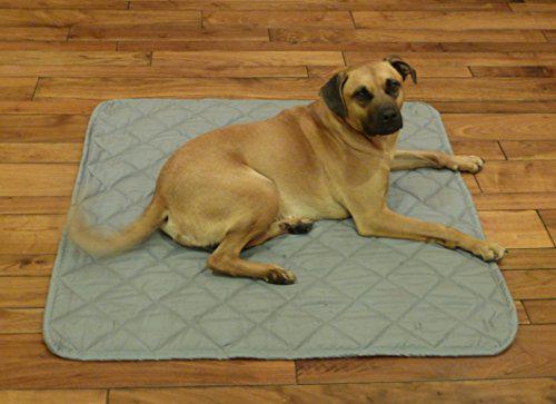 gdogstore's tweet photo. Deluxe Tufted Dog travel mat, Crate mat, Kennel mat, Cargo liner 42"x42" -http://t.co/V6xhxRyVbC http://t.co/1Q24kqGqZc