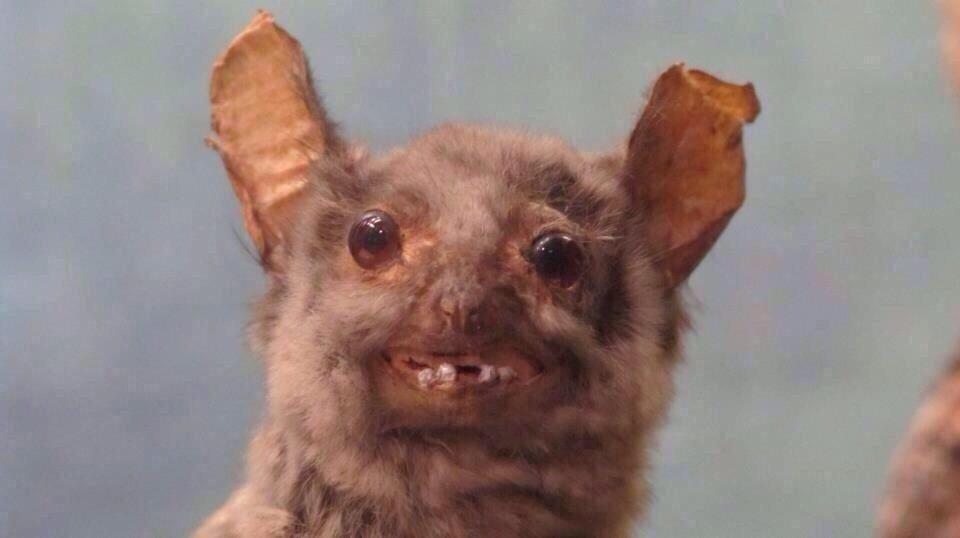 evermoregardenx's tweet image. "Hey, I'll be there in five minutes, are you ready?"