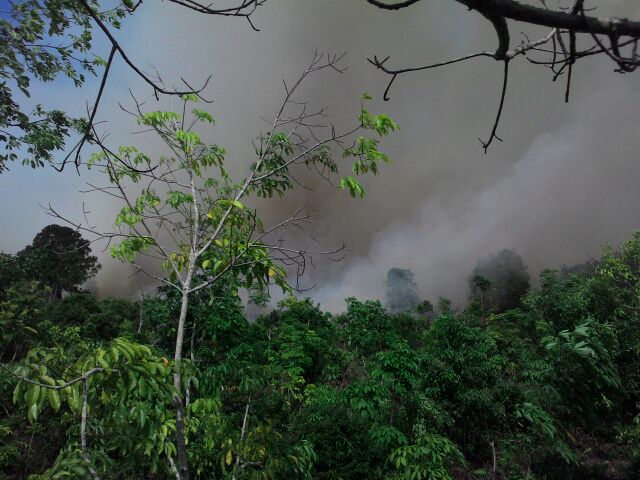 pilih sape wak? tweet media