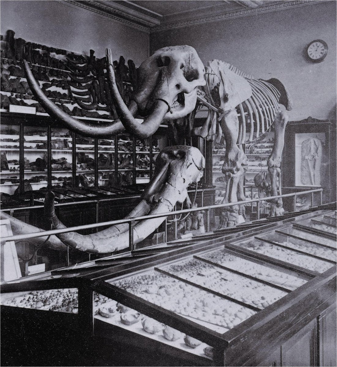 britishmuseum's tweet image. Sloane’s collection also ended up as the basis of @NHM_London and @britishlibrary! ow.ly/LGdFT