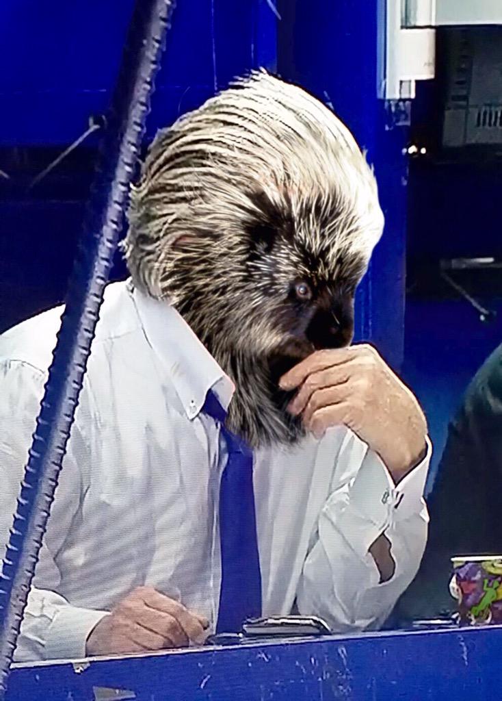 Brett Kelly (@Brett_Kelly) | Twitter