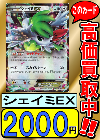 ホビーステーション松戸店 ポケカ買取情報 現在 シェイミex Rrを00円にて買取実施中 その他エメラルドブレイクの カードも高額買取中ですので 是非当店へお持ち下さい ゞ ポケモンカード ポケカ Http T Co R2pqfbzejv ホビーステーション松戸店 ポケカ買取情報 現在 シェイミex Rrを00円にて買取実施中 その他エメラルドブレイクの カードも高額買取中ですので 是非当店へお持ち下さい ゞ ポケモンカード ポケカ Http T Co R2pqfbzejv