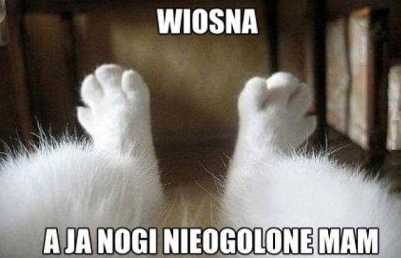 ale zaniedbane nogi ;)