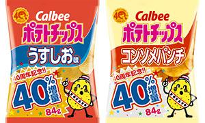 うすしお 4901330504854.jpg