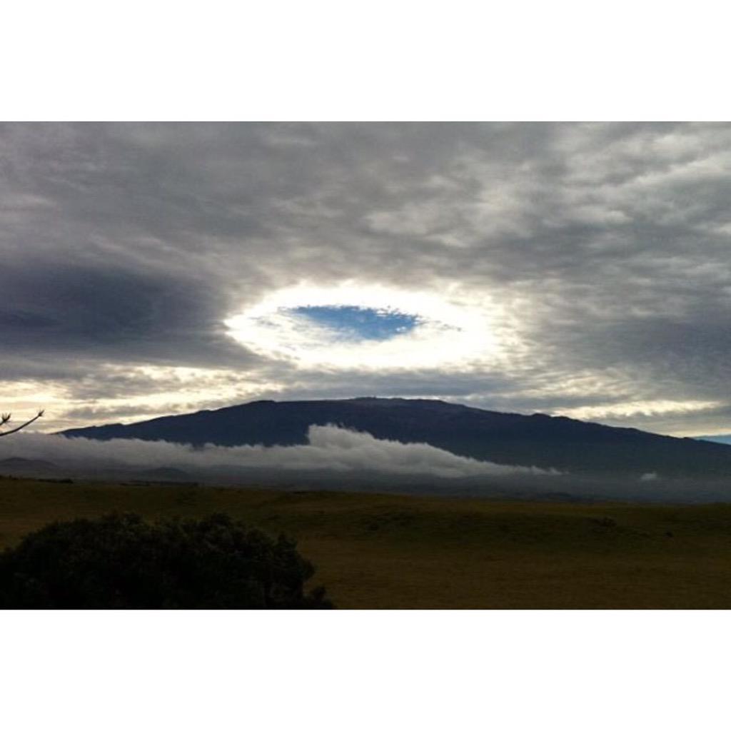 pikaiswimhawaii's tweet photo. #ProtectMaunaKea #alohaaina #carefortheland #wear #pikaiswimhawaii #bikinis #madeinhawaii #hawaii #hawaiinei #pikai http://t.co/15lyfwDsjX