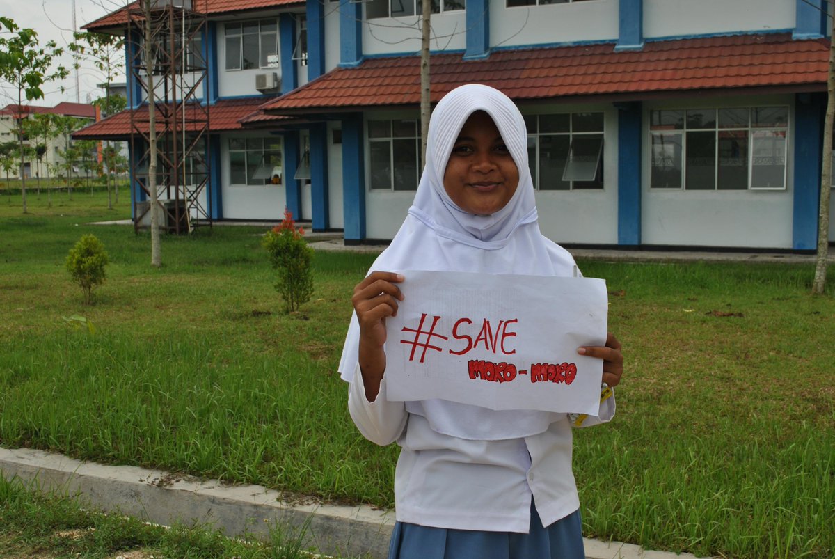 ikeYuliani13's tweet photo. #SAVEMOROMORO http://t.co/soeCIrvbBN