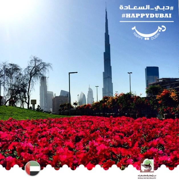 MyHappyDubai's tweet photo. Dubai's parks are the ultimate destination to spend unforgettable time with the family Which is your favourite park? http://t.co/5LjozQSzCX