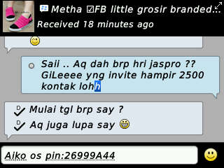 PromotePin_BB2 tweet picture