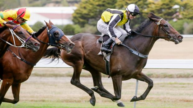 NZStuff's tweet photo. Racing Minister Nathan Guy announces probe into online offshore gambling http://t.co/xAaJ1mBuTm http://t.co/w7qib4yL4D