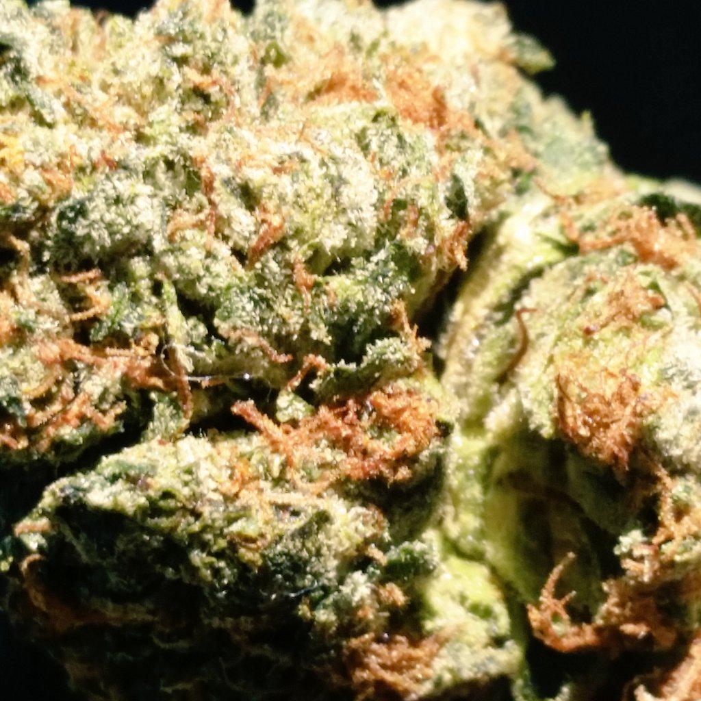 336onFire's tweet image. 