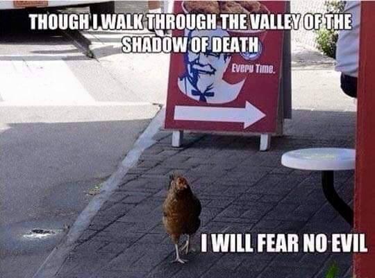 shiremoorpotter's tweet image. Don't do it @Jules1315 it'll only make your hair curl ;) #lattefacts