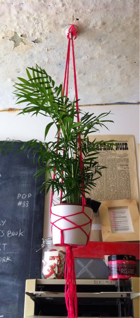 textbookstudio's tweet image. Vernon, our new leafy friend. Hanging planter made for us by the wonderful @StudioUpUK —