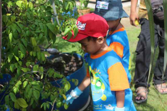SAIPalembang's tweet photo. Senangnya bisa langsung mengalami pembelajaran di kebun salak dan belimbing... Nih cerita outing anak KB @msi_sai http://t.co/QjWN94Z7ZR