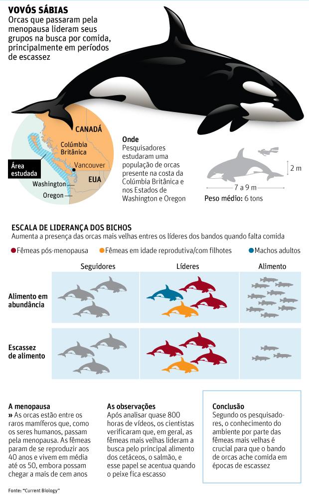 Link permanente da imagem incorporada