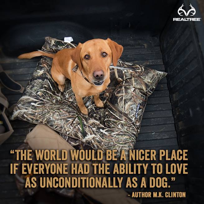 Realtree tweet media