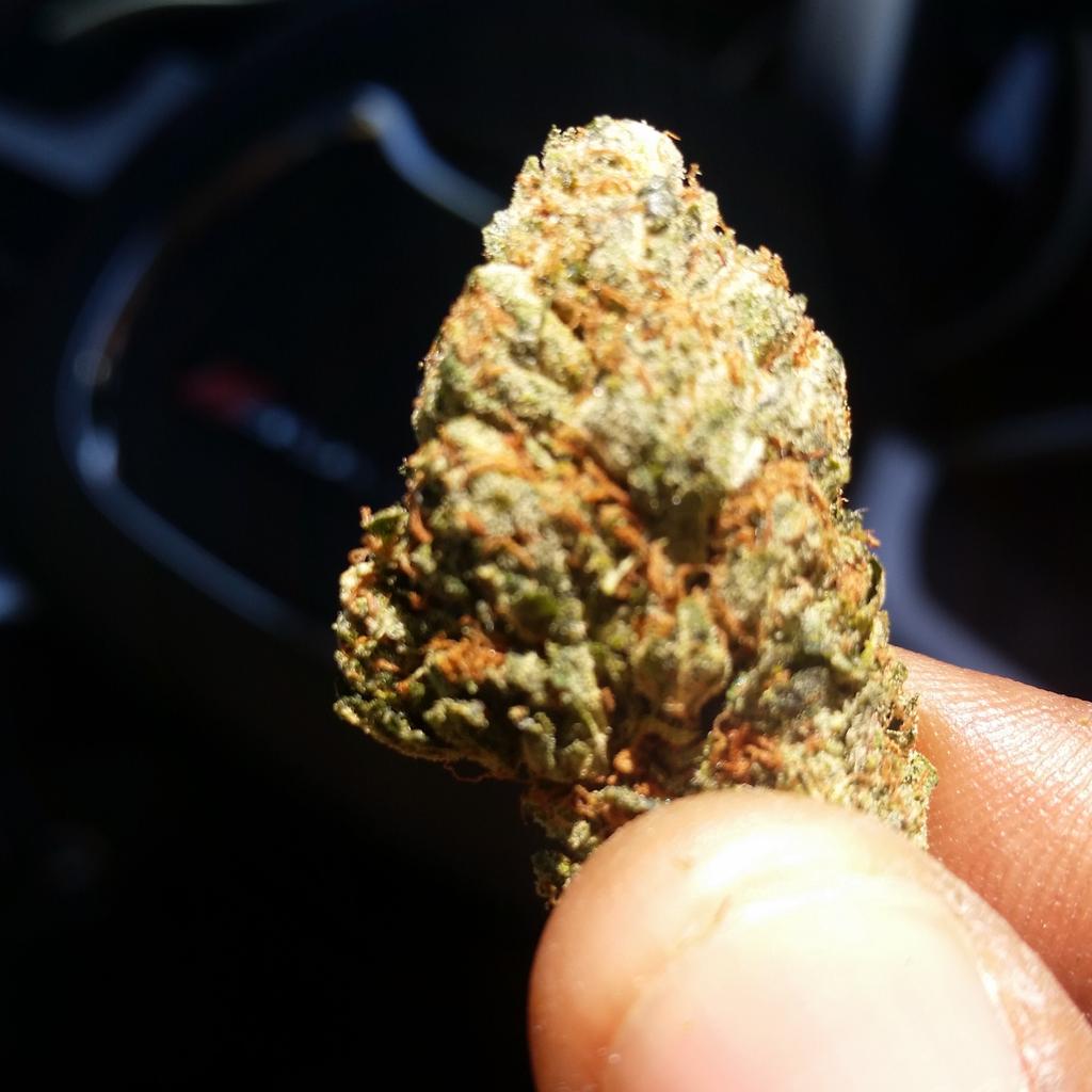 336onFire's tweet image. That gass.