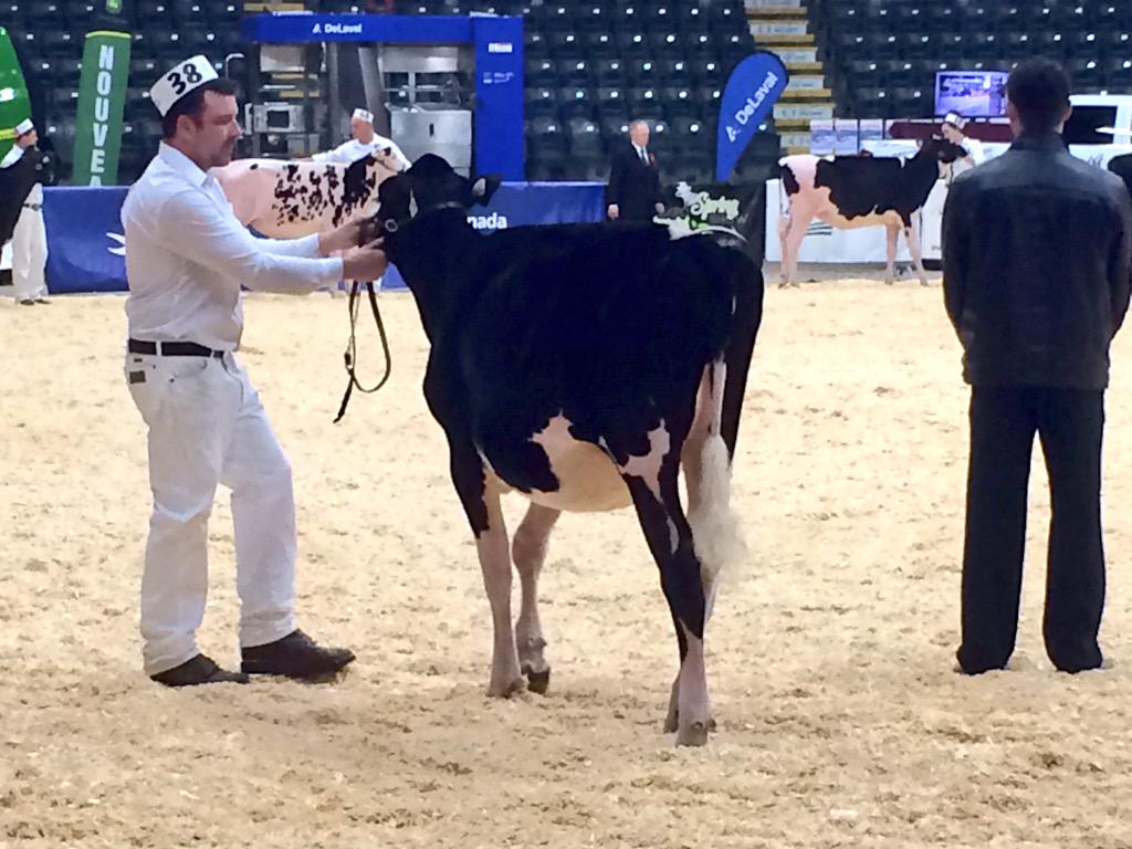 sarasim's tweet image. So exciting!! Pure Doorman Hope was 2nd at Expo Printemps!