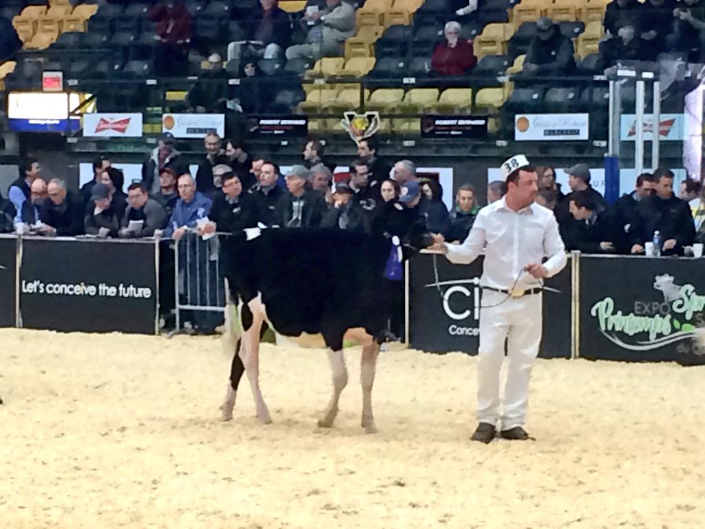 sarasim's tweet image. So exciting!! Pure Doorman Hope was 2nd at Expo Printemps!