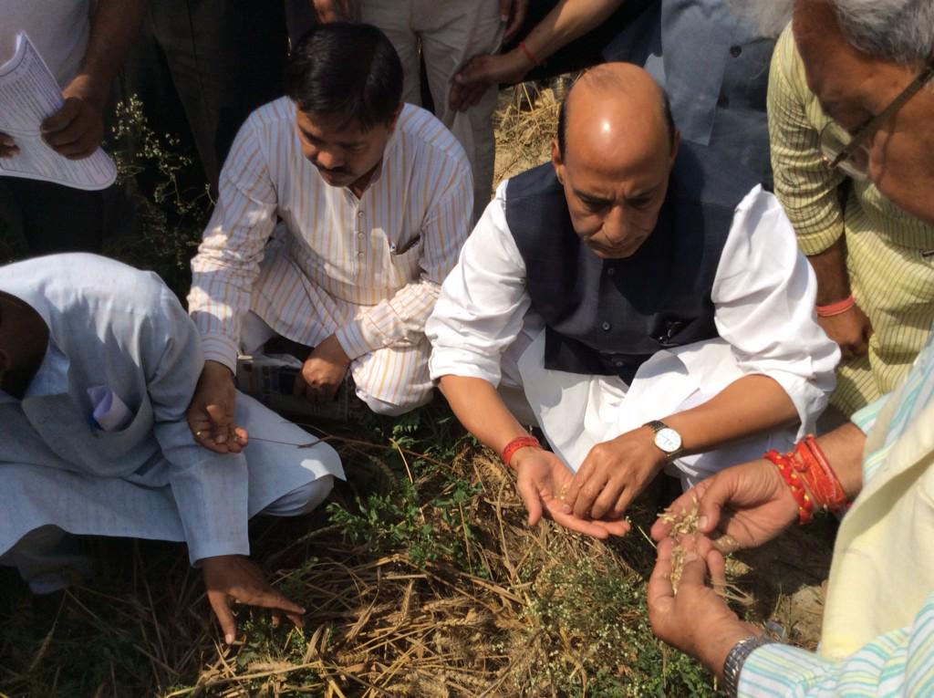 Had a first hand experience of crop damage in UP. The Centre has relaxed norms to buy even the damaged wheat crop