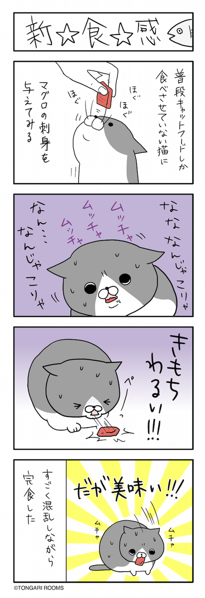 猫まんが。 