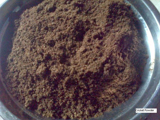 EarthwormPowder tweet picture