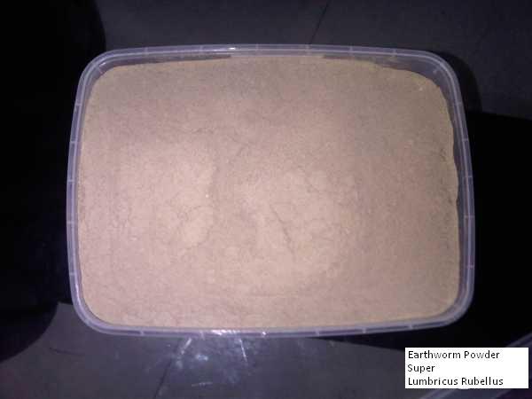 EarthwormPowder tweet picture