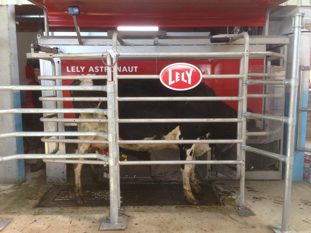 LelySouthEast's tweet image. First two cows entering the 2Astronauts on this farm new startup in Rathvilly, Co Carlow. #LelyRobot #carlowstartup