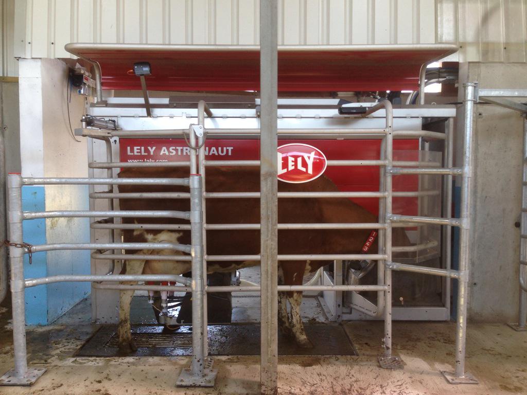 LelySouthEast's tweet image. First two cows entering the 2Astronauts on this farm new startup in Rathvilly, Co Carlow. #LelyRobot #carlowstartup