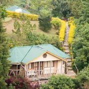 Crystallodges's tweet photo. Gorilla Safari Lodge https://t.co/GNKodGQ7HC http://t.co/lYRETLqIGG