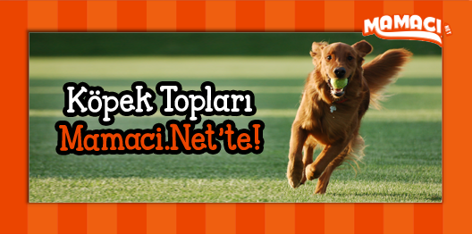 ❤ ŞİMDİ #OYUN ZAMANI ❤ Köpeğiniz için en #ekonomik ve #eğlenceli toplar burada; bit.ly/1qkeK8w #indirim