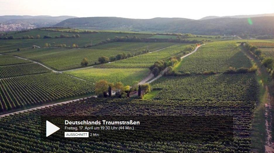 weininstitut's tweet photo. #tvtipp Die Weinstraße @ZDF Produktion Fr 17.4. ab 19.30 Uhr auf @ARTEde großartige Aufnahmen! @gen_riesling http://t.co/IqnBxh3FoV