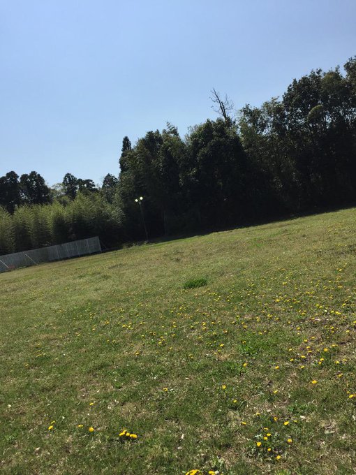 撮影お疲れさまでした( &acute; ▽ ` )ﾉとてものどかなところでした☆ http://t.co/g0jlMilaZ3