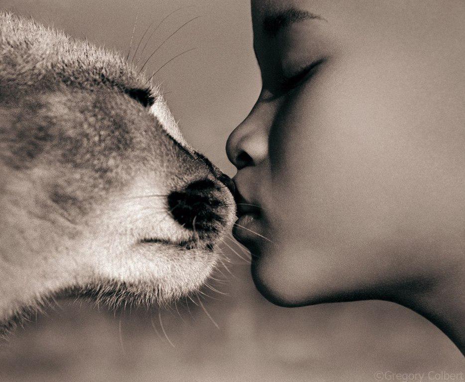 Pixel24ru's tweet photo. #ГрегориКолбер #photo #photography #pixel24 #animals http://t.co/B6i4X8hmZw