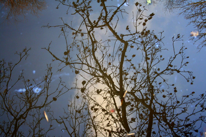 UHPhoto2015's tweet photo. Another stunning image from another talented student @Haydenbridgeman! Come to see her and her work @UHPhoto2015 http://t.co/ngKqLQ8oil