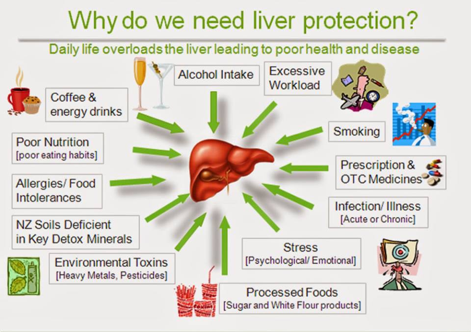 Do you know why we need to protect our liver? 
#LiverProtection #Liver #healthtips